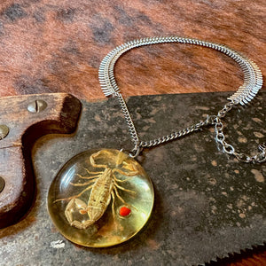 Scorpion on Fishbone Chain Necklace - Heyltje Rose Shop