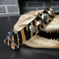 custom zebra print studded dog collar on alligator close up