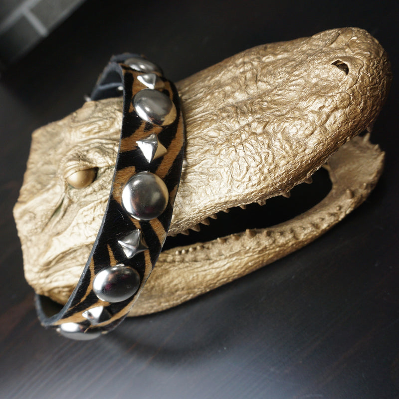 custom zebra print studded dog collar on alligator